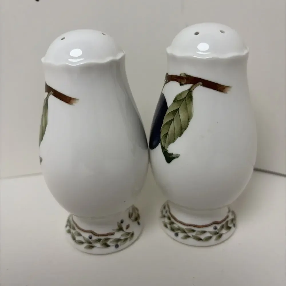 Noritake #9416 Primachina ROYAL ORCHARD Salt & Pepper Shaker Set